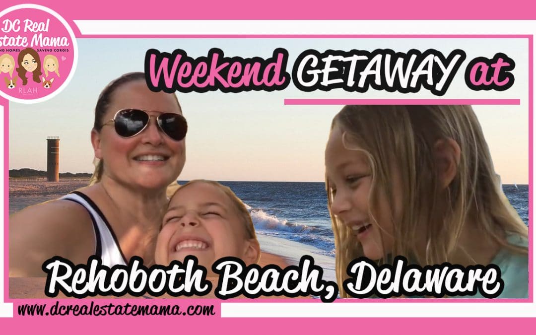 Living in DC With Kids & Dogs: Weekend Getaway with the Family at Rehoboth Beach