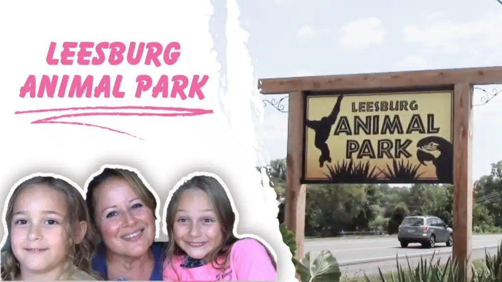 Leesburg Animal Park Tour