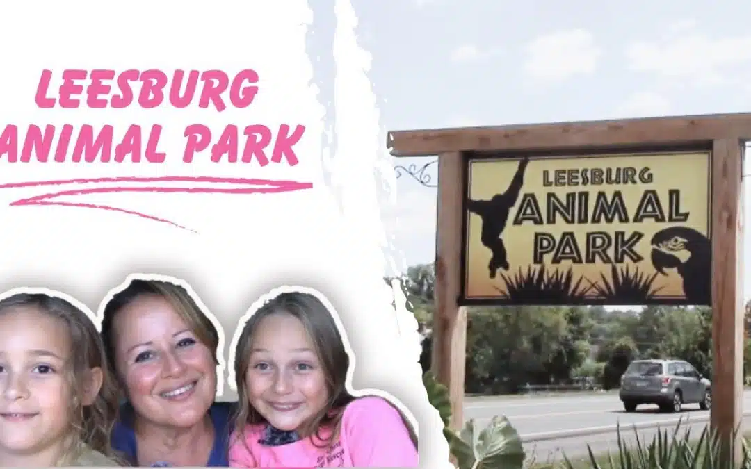 When Is The Best Time To Visit Leesburg Animal Park?