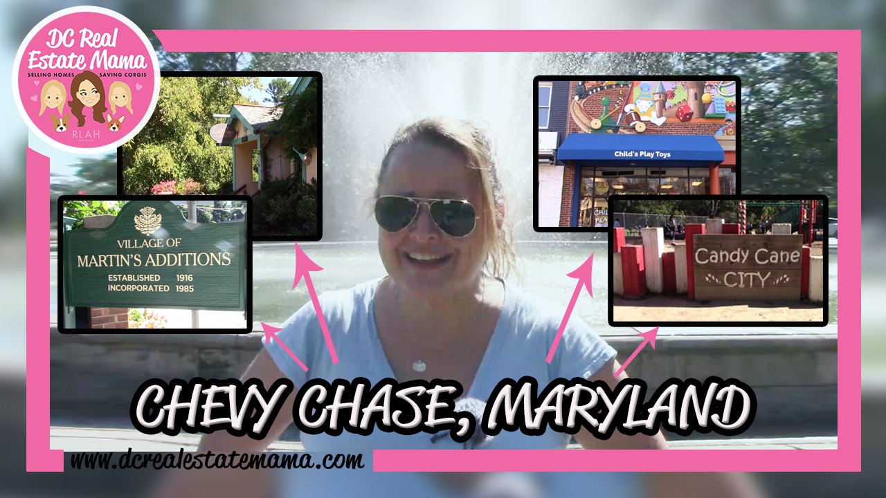 Is Chevy Chase Wealthy, Highly Educated And A Great Place?