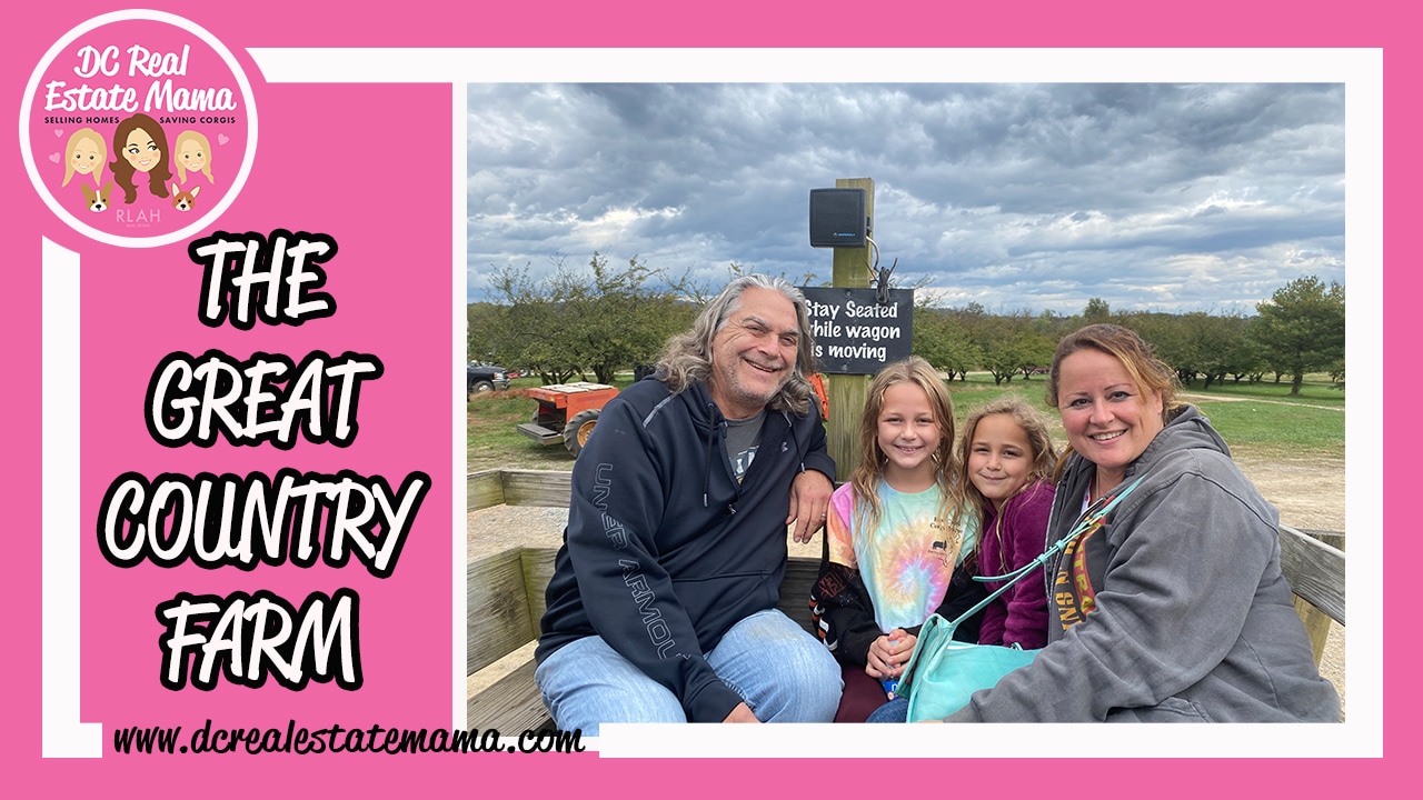 Great Country Farms Great for Families Looking for DC Day Trips DC