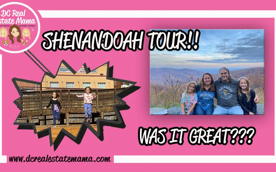 Shenandoah National Park – Weekend Trip from DC