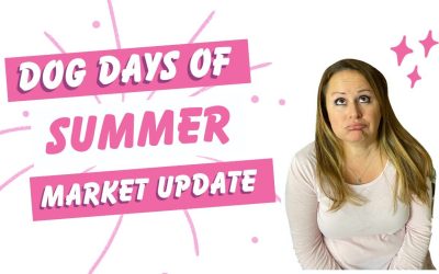 Market Update (2023) – Dog Days of Summer