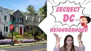 The Secret DC Neighborhood
